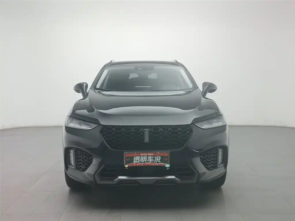 WEI PAI WEI BRAND VV7