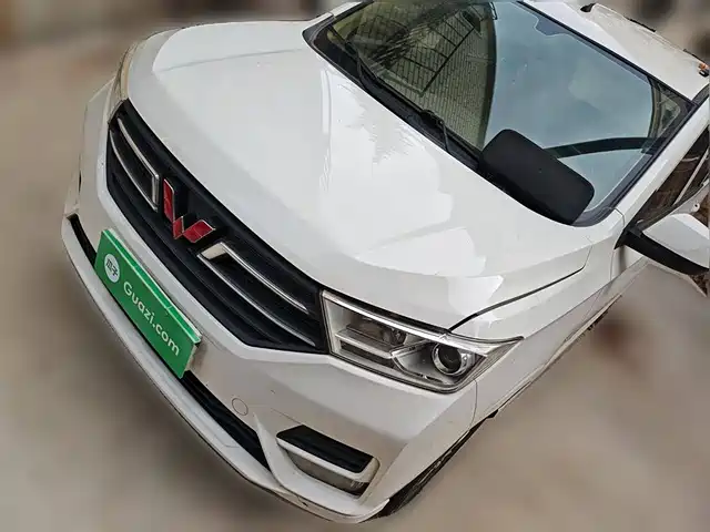 WULING AUTOMOBILE WULING HONGGUANG 2019