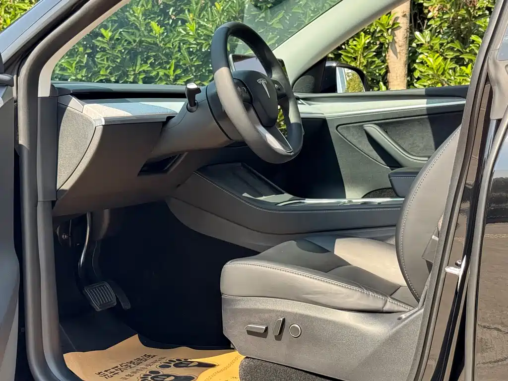 Tesla Model Y — миниатюра 6