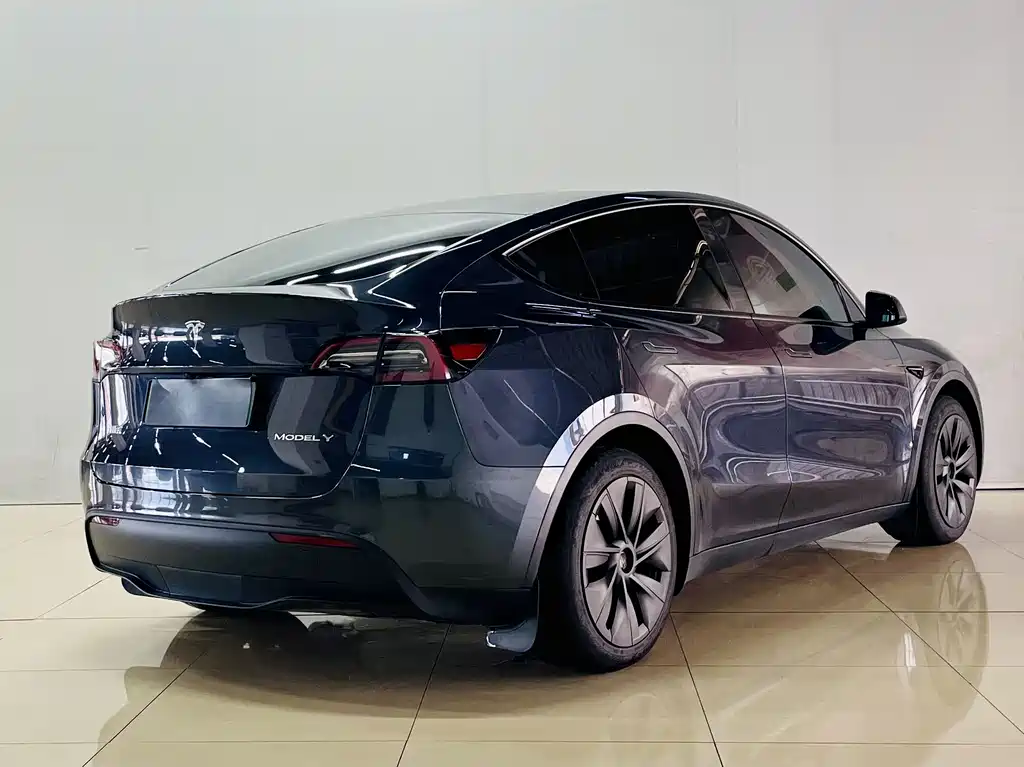 Tesla Model Y — миниатюра 6