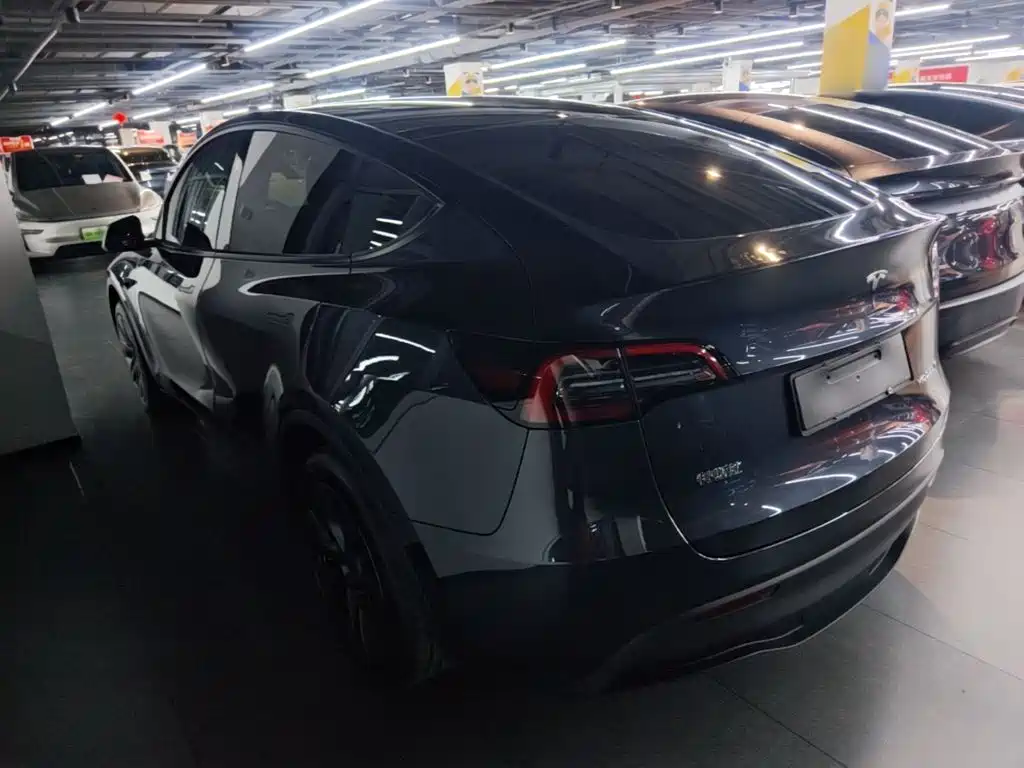 Tesla Model Y — миниатюра 5