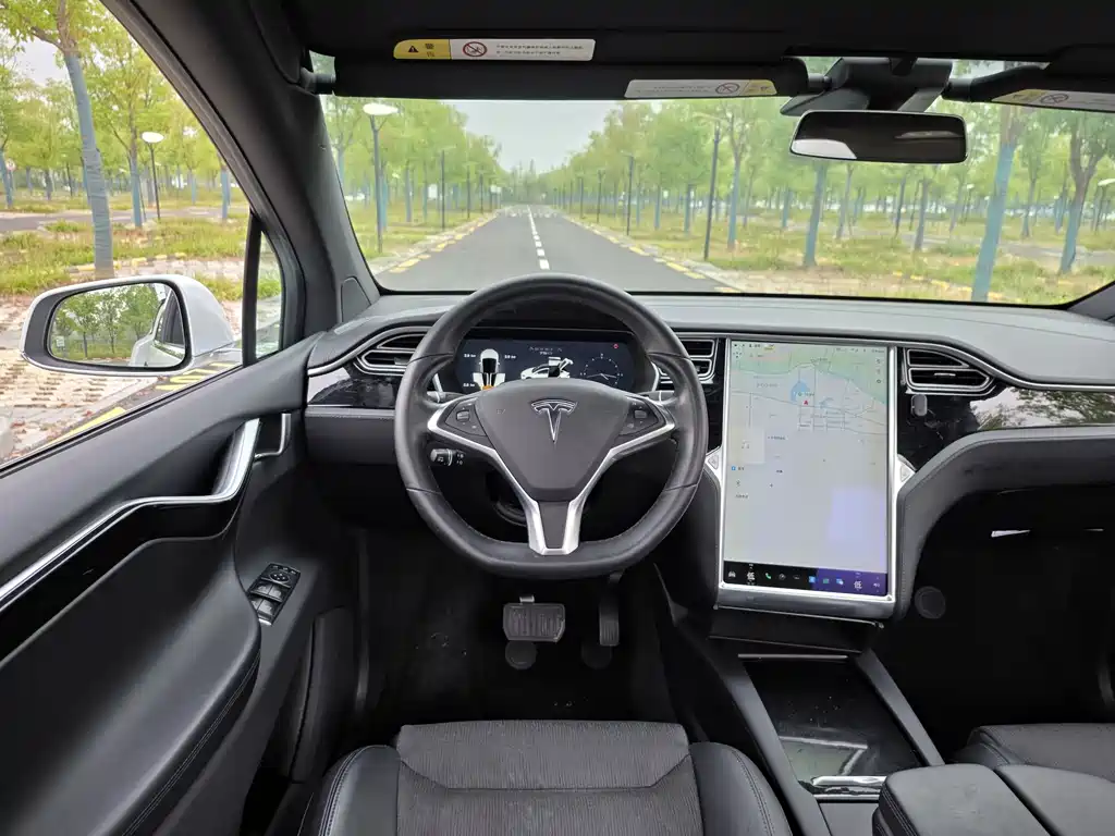 Tesla Model X — миниатюра 19