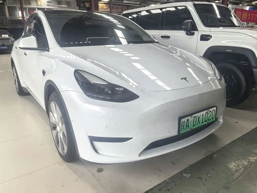Tesla Model Y — миниатюра 3