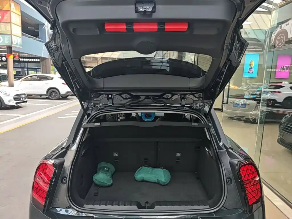 MINI MINI ACEMAN EV — миниатюра 19