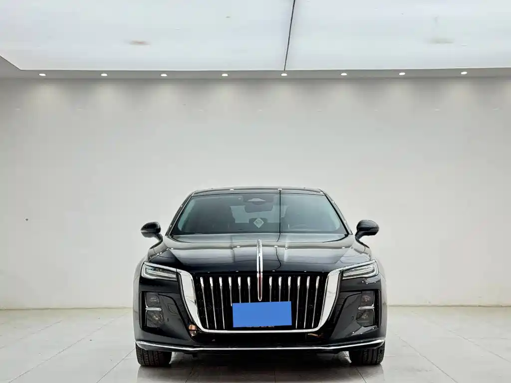Hongqi Hongqi H5 — миниатюра 2