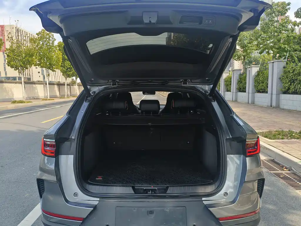 BYD PLUS New Energy — миниатюра 7