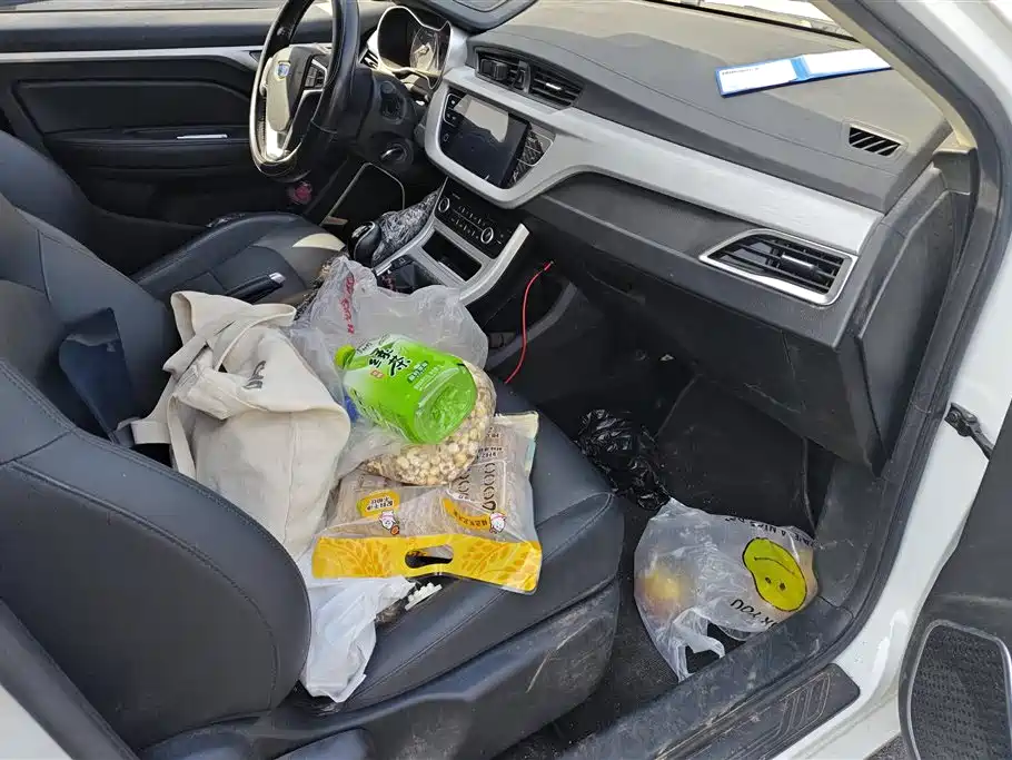 GEELY AUTOMOBILE VISION