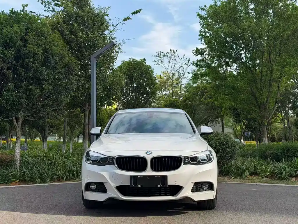 BMW 3 Series GT — миниатюра 2