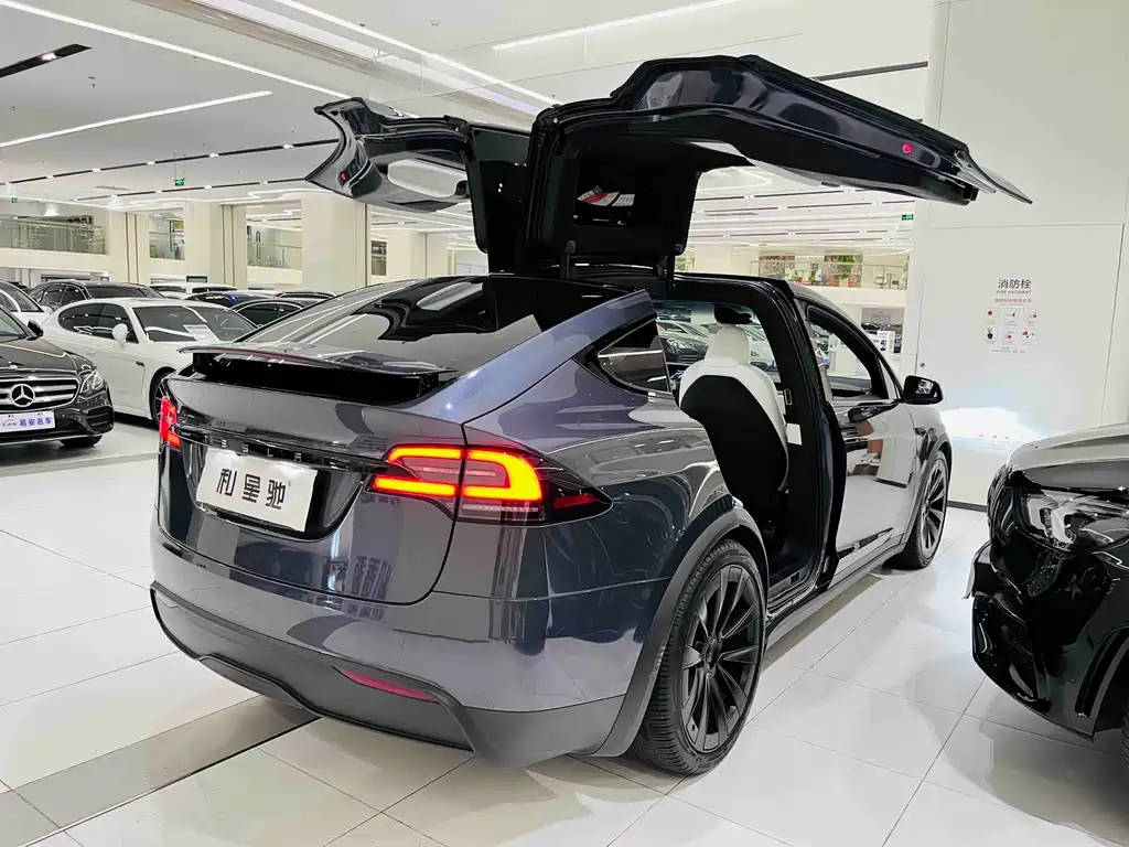 Tesla Model X — миниатюра 13