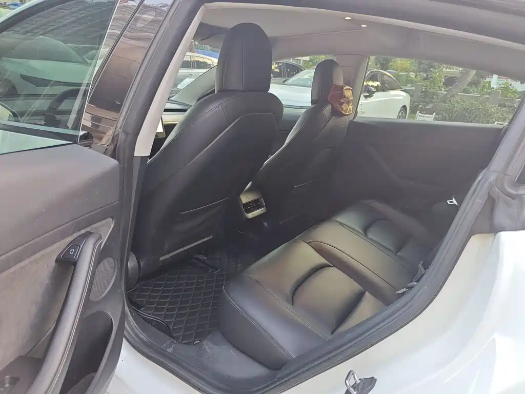 Tesla Model 3 2021 Performance 3D6