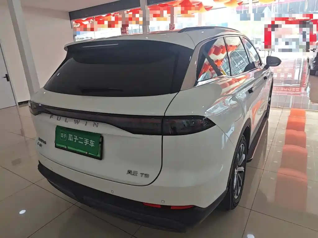 Fulwin Fengyun T9 — миниатюра 7