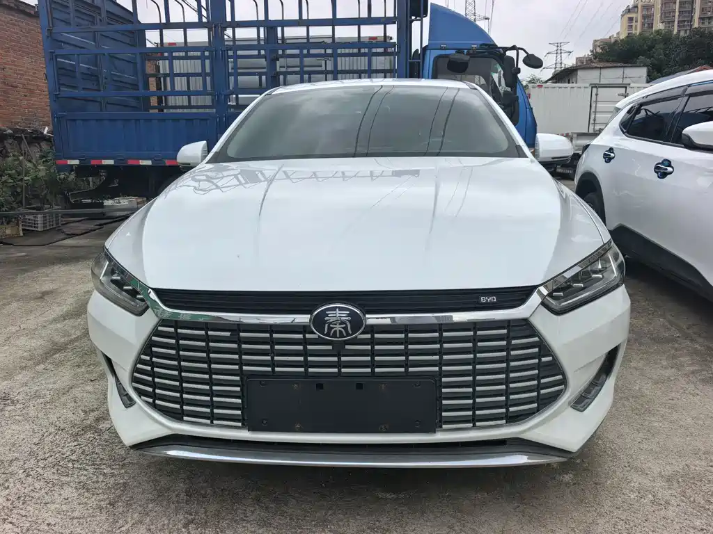 BYD Qin Pro NEV — миниатюра 2