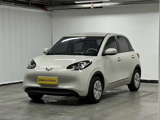 2024 Wuling Motors Binguo