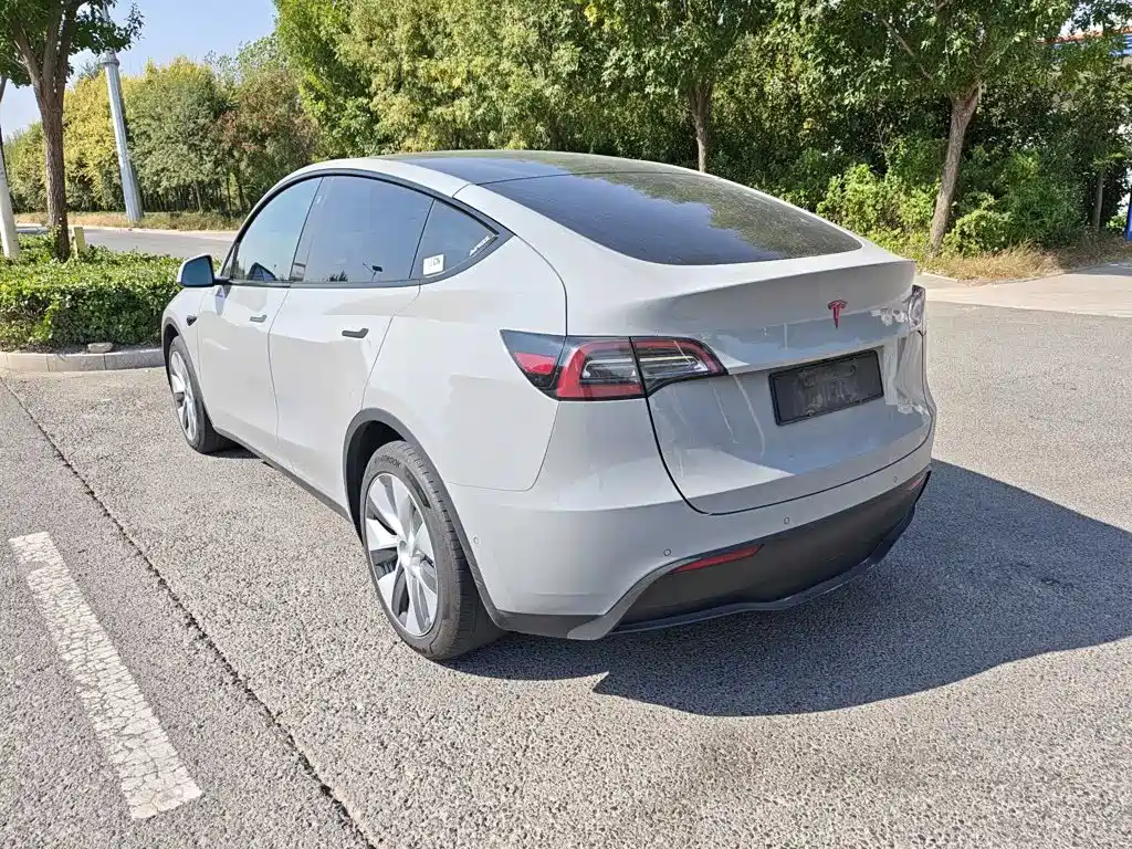 Tesla Model Y — миниатюра 6