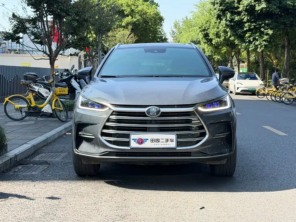 BYD Tang New Energy — миниатюра 2