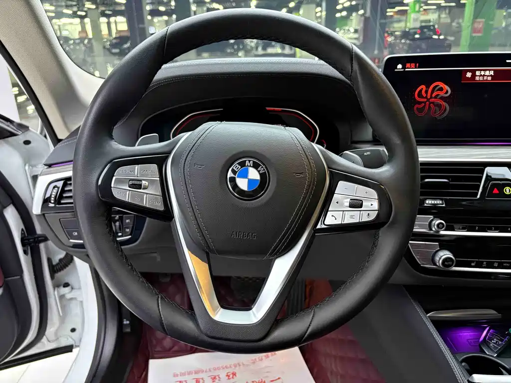 BMW 5 Series 5 2021 530Li Lead Luxury