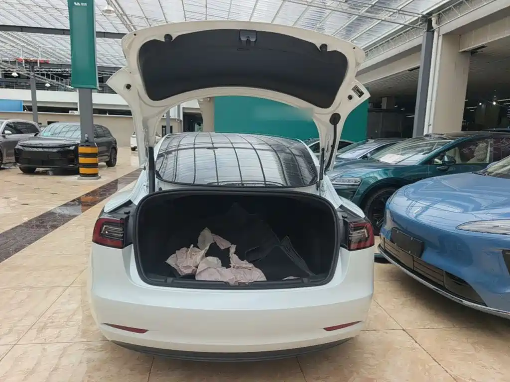Tesla Model 3 — миниатюра 19