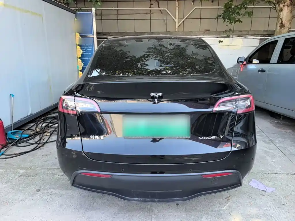 Tesla Model Y — миниатюра 6