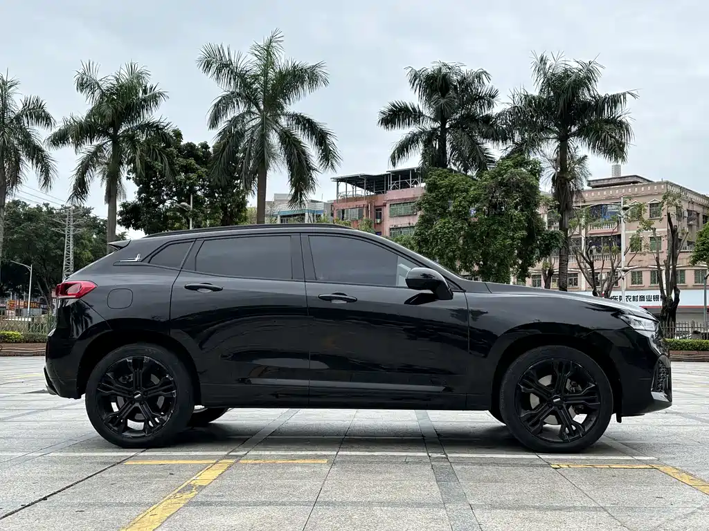 WEI PAI WEI BRAND VV7