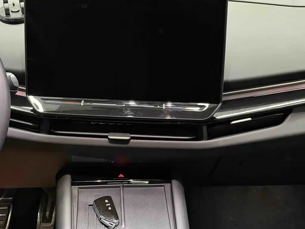 VOLKSWAGEN WITH THE CROWD 06