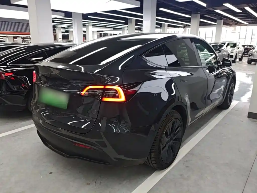 Tesla Model Y — миниатюра 7