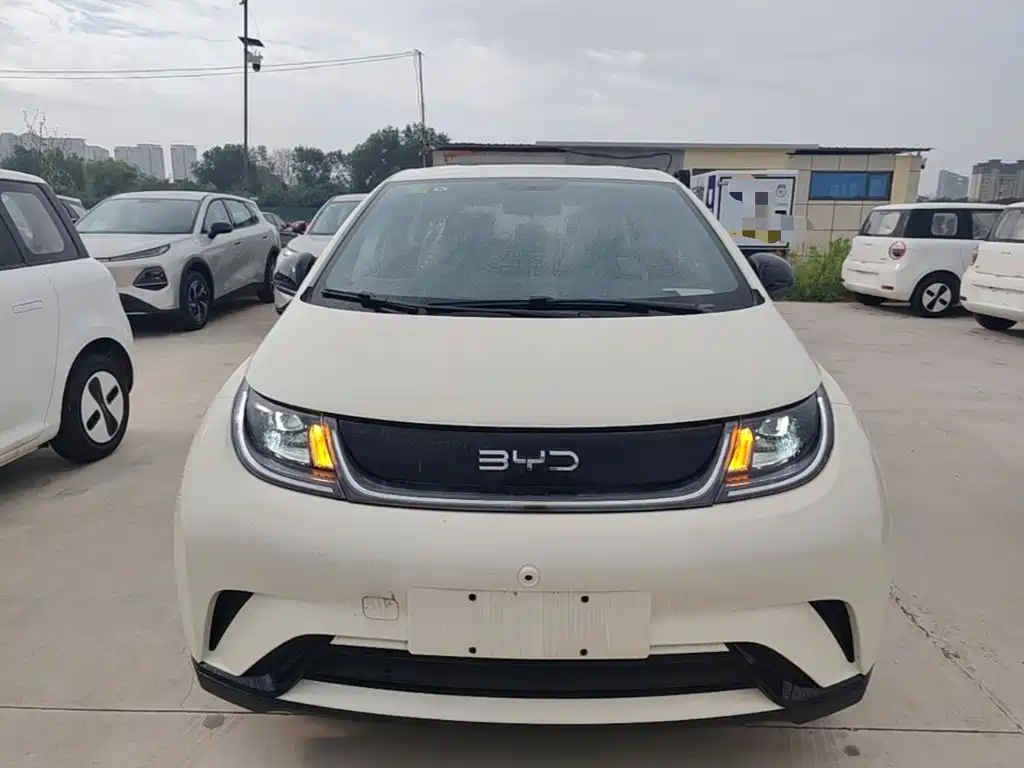 BYD Dolphin — миниатюра 3