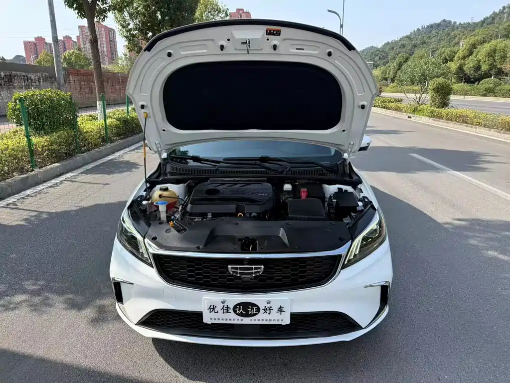 Geely Binrui — миниатюра 8