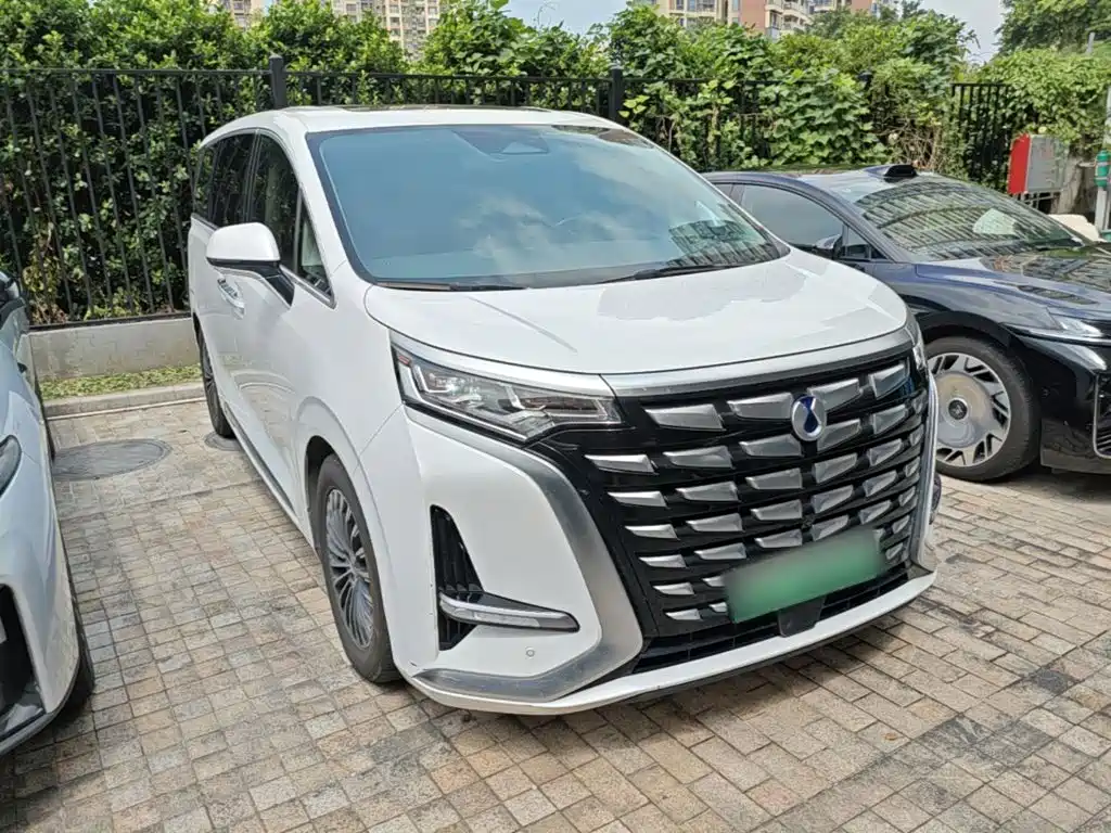 Denza Denza D9 — миниатюра 4
