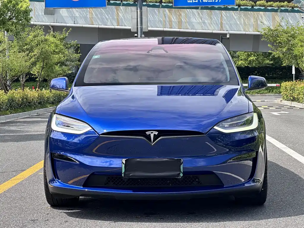 Tesla Model X — миниатюра 4