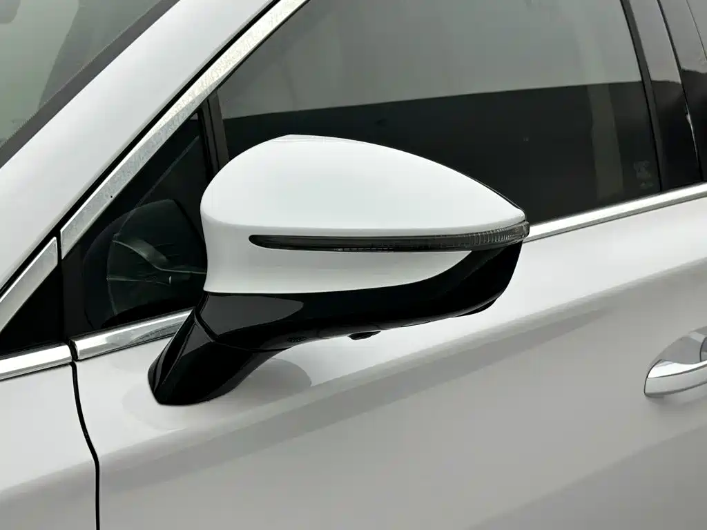 BYD Tang New Energy — миниатюра 28