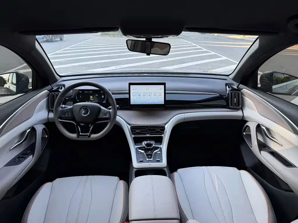 BYD Pro New Energy — миниатюра 10