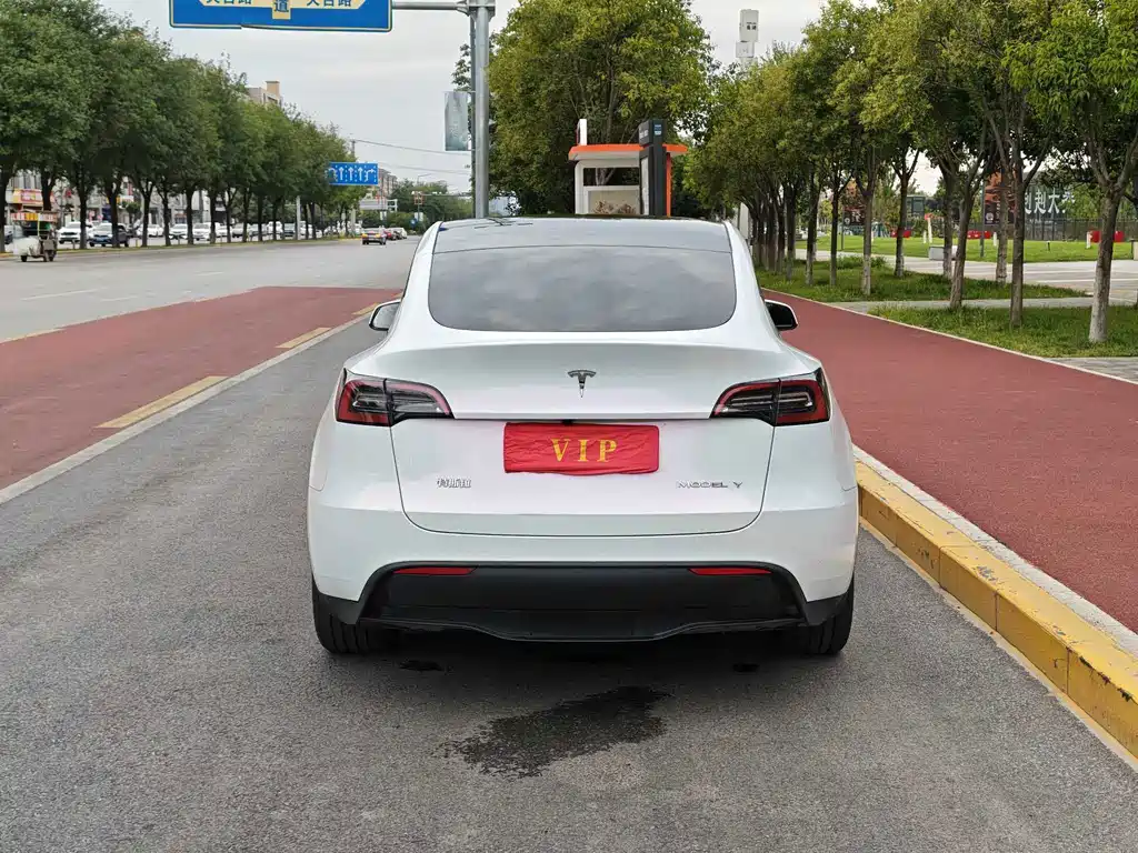Tesla Model Y — миниатюра 5