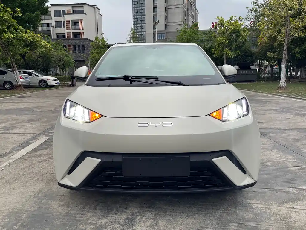 BYD Seagull 2024 305km Freedom