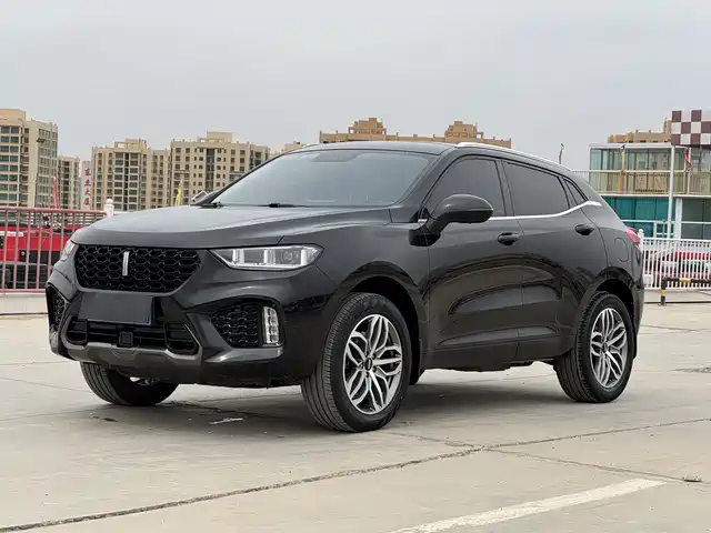2019 Wey VV5