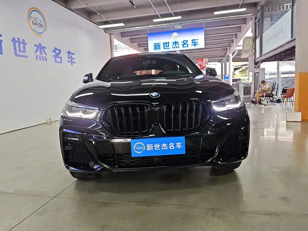 BMW X6 — миниатюра 2