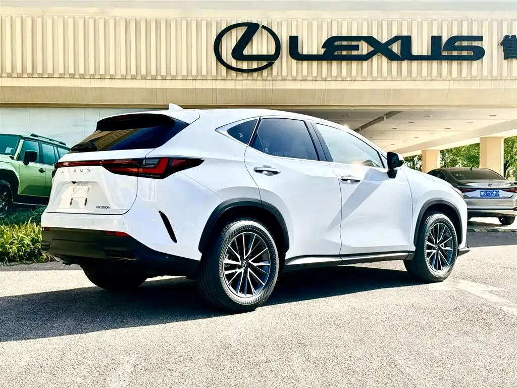 Lexus NX — миниатюра 9