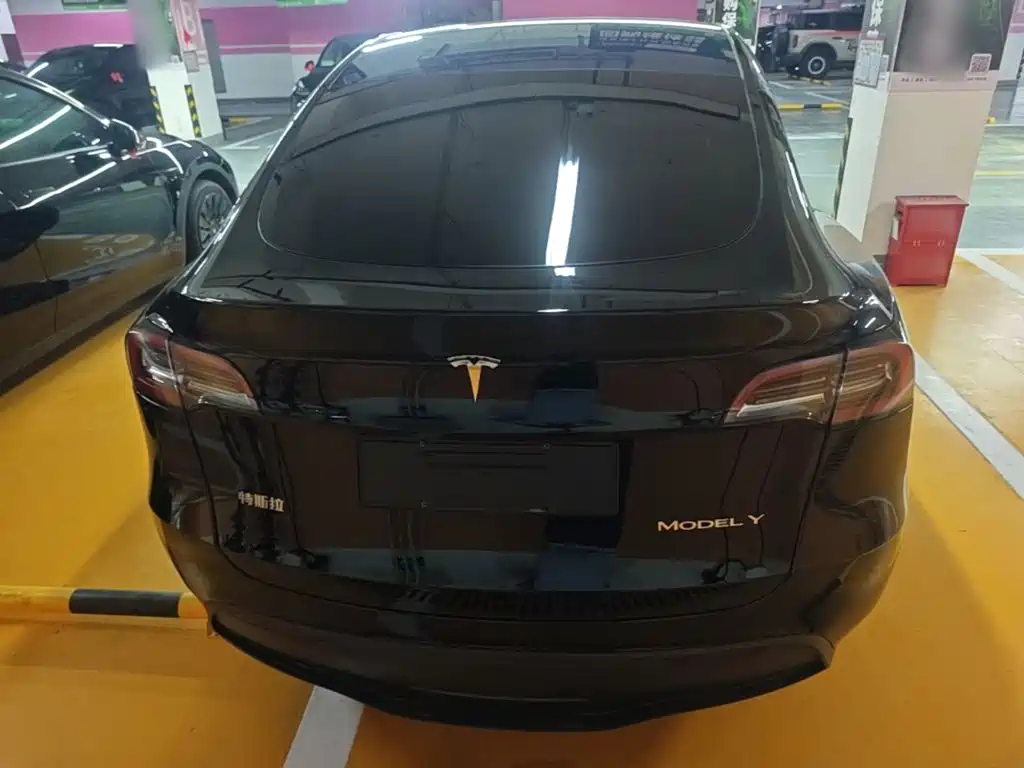 Tesla Model Y — миниатюра 6