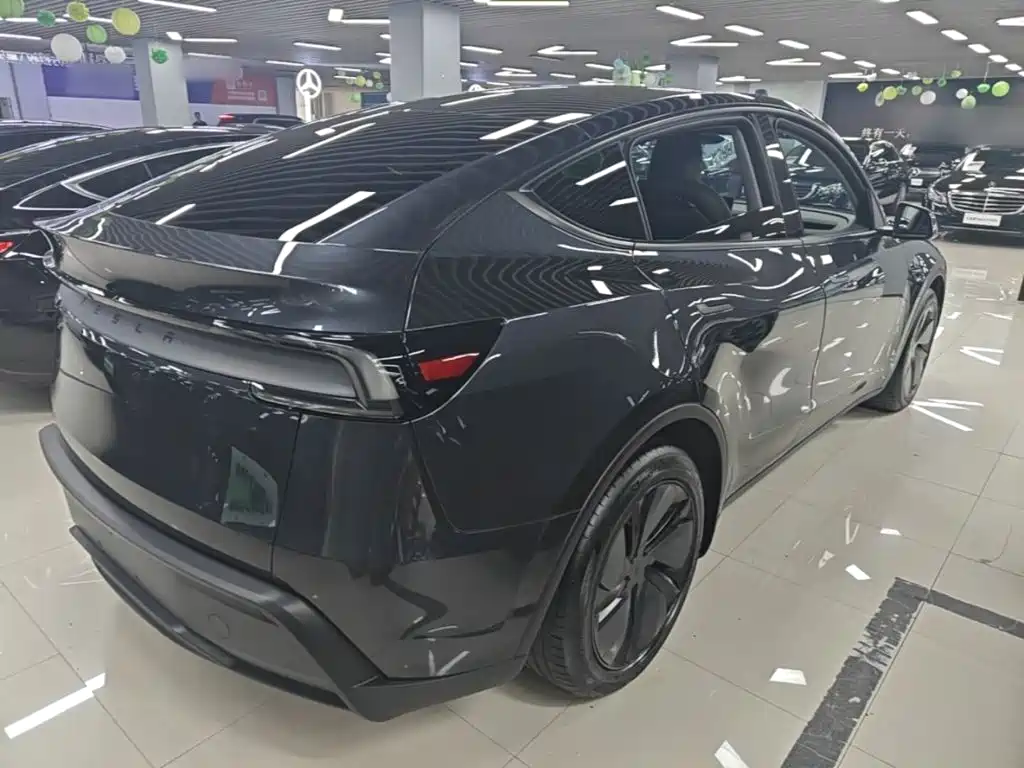 Tesla Model Y — миниатюра 7