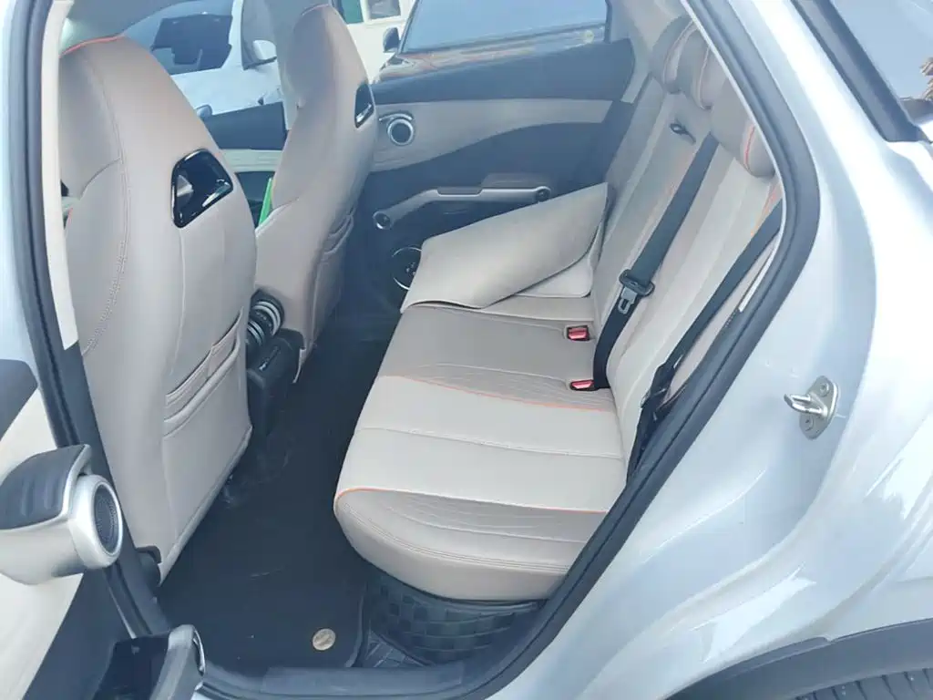 BYD Yuan Plus — миниатюра 17