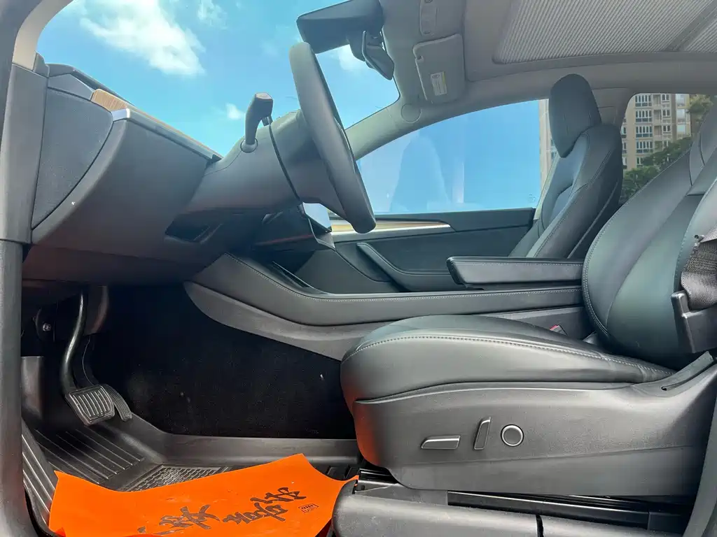 Tesla Model Y — миниатюра 5