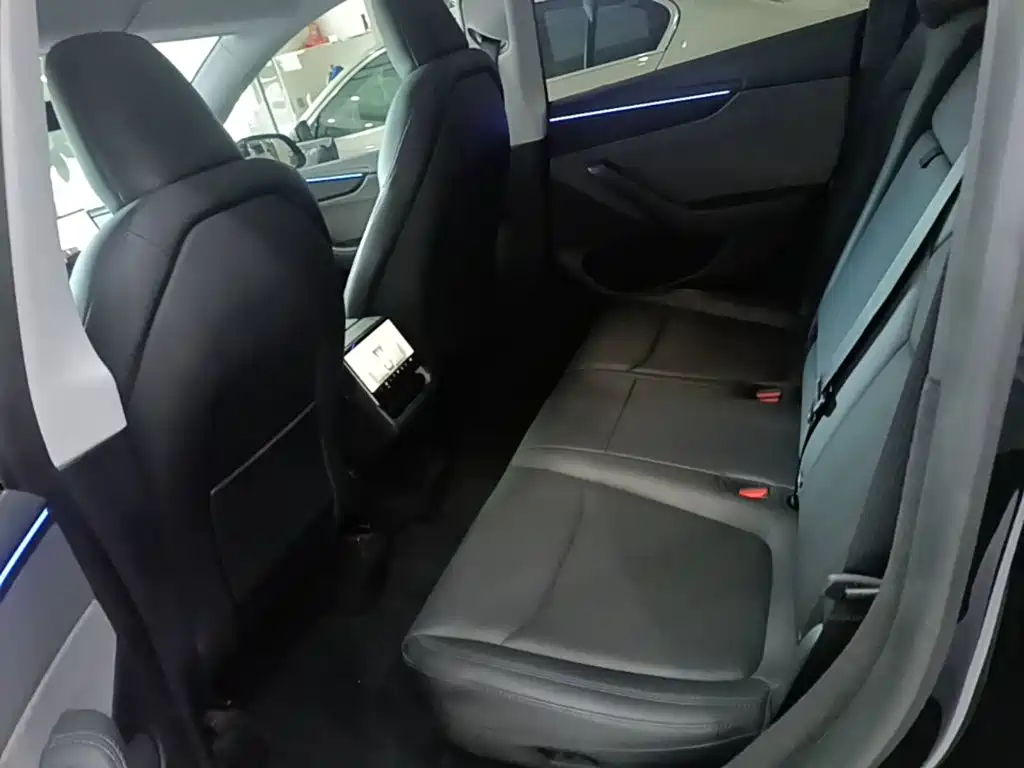 Tesla Model Y — миниатюра 17