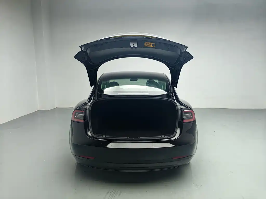 Tesla Model 3 — миниатюра 5