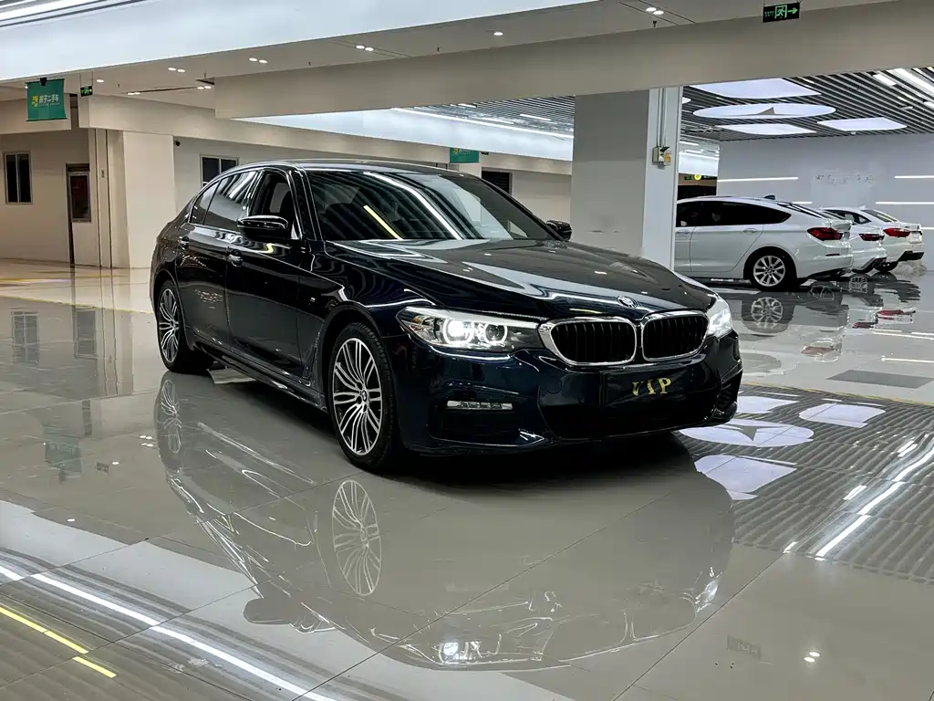 BMW 5 Series — миниатюра 3