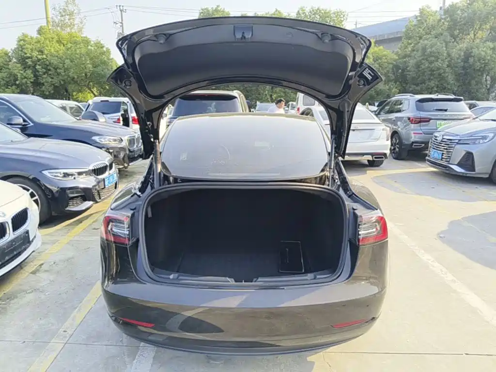 Tesla Model 3 — миниатюра 19