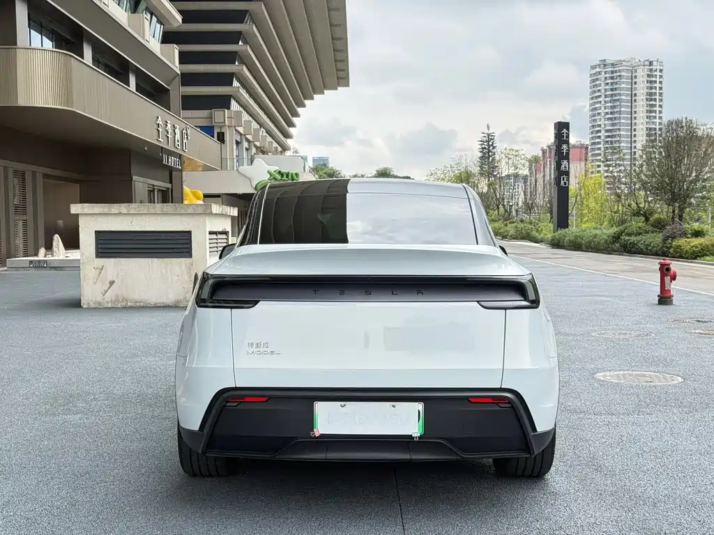Tesla Model Y — миниатюра 8