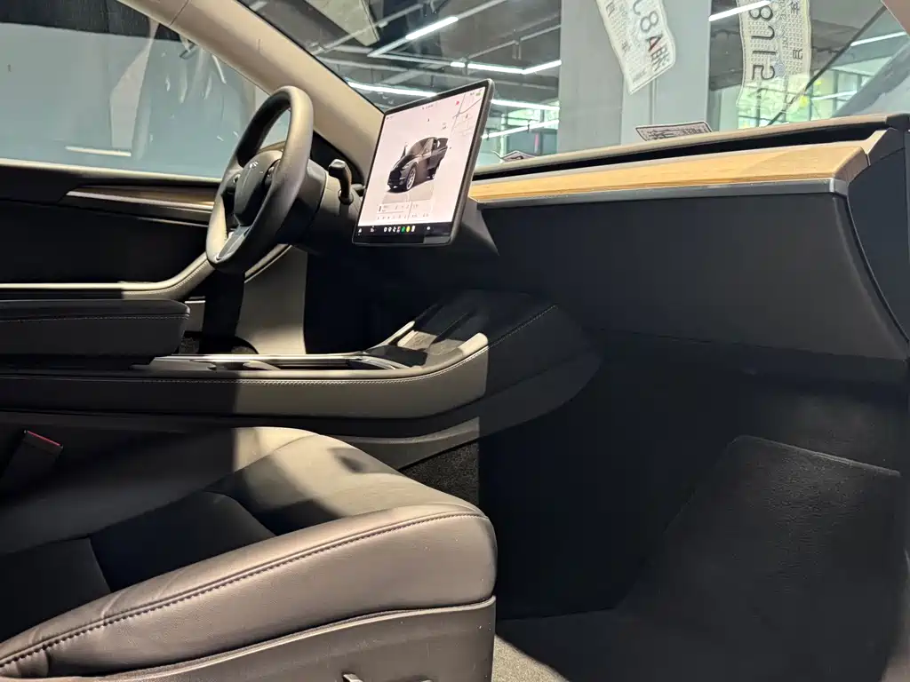 Tesla Model Y — миниатюра 9