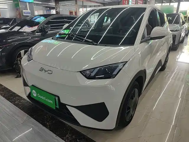 2025 BYD Seagull