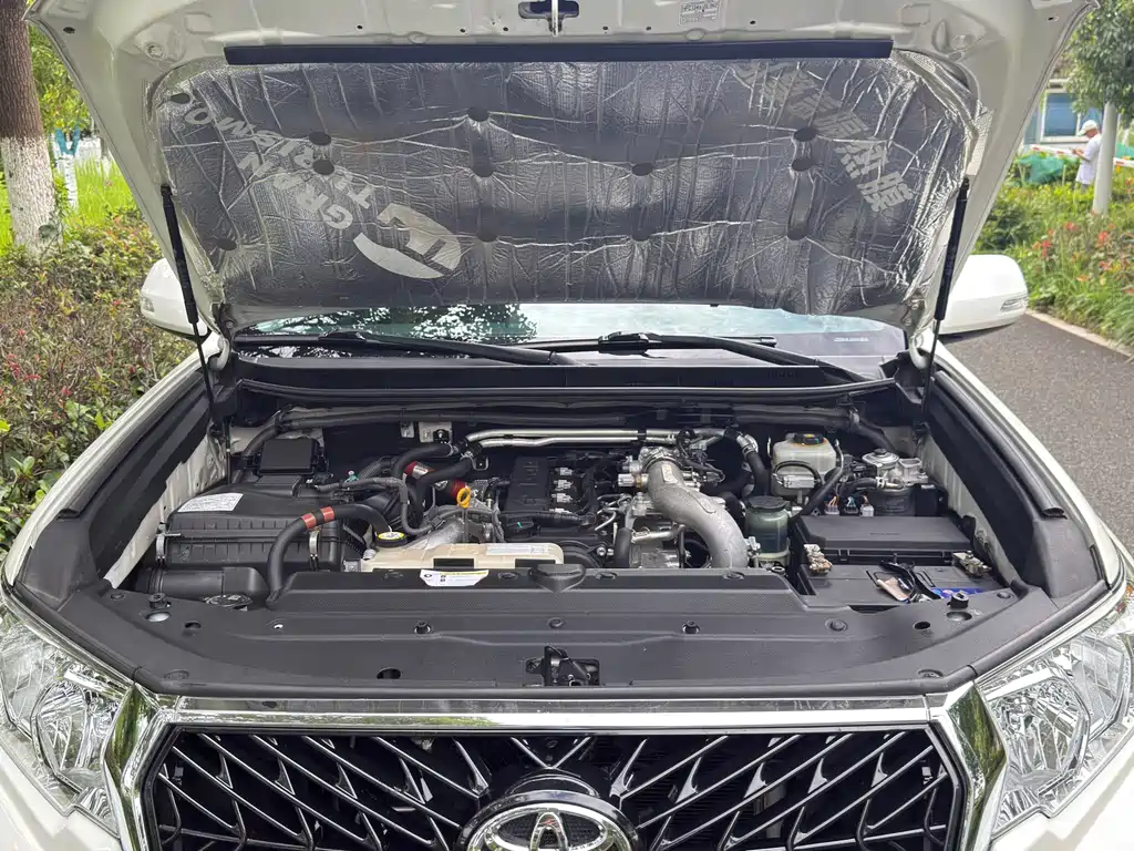 Toyota Prado (Import) — миниатюра 17
