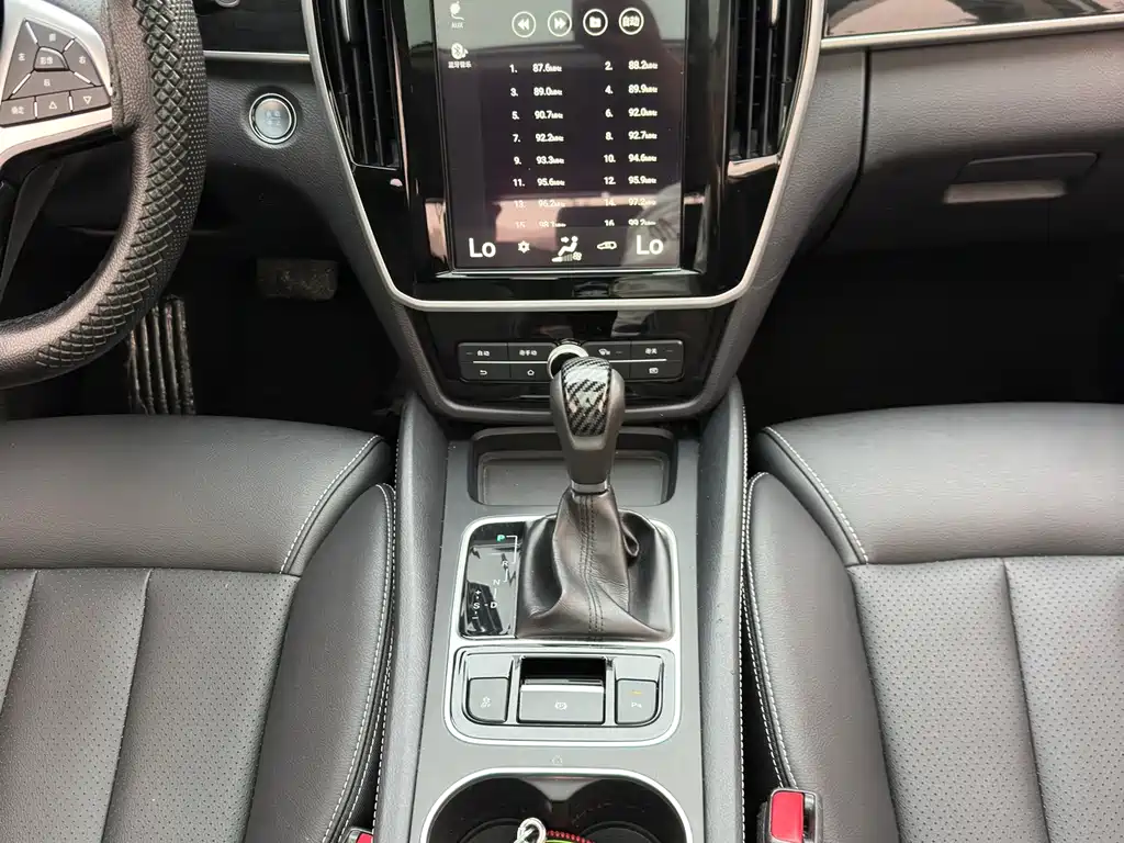 BYD MAX — миниатюра 18