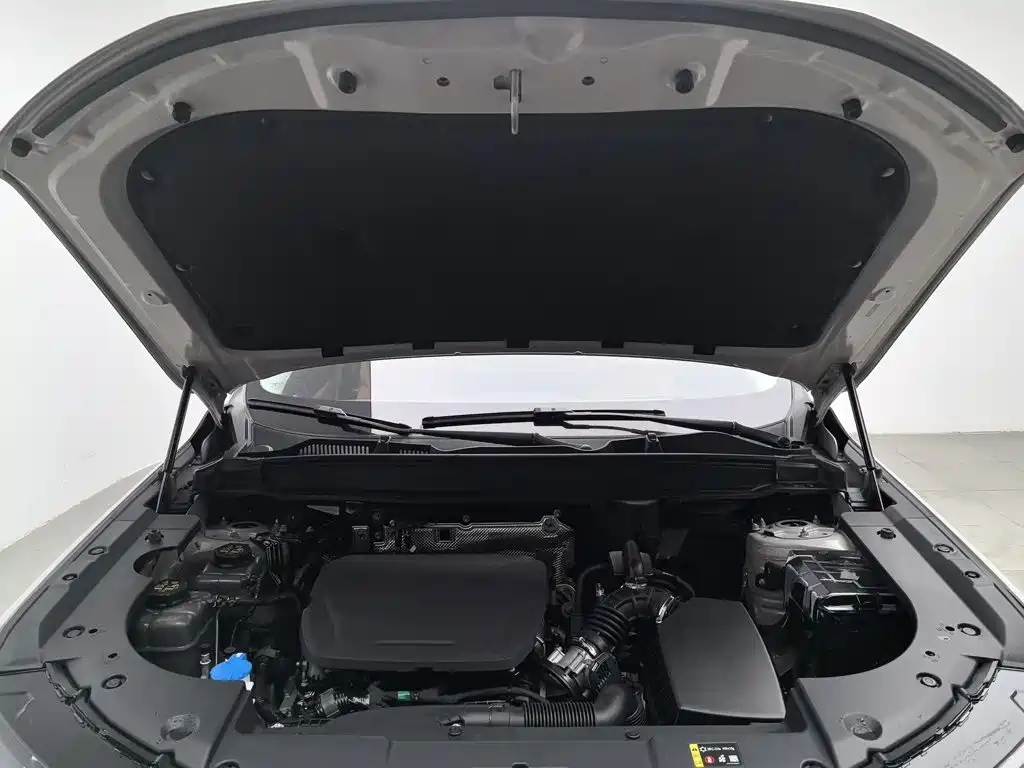 Haval Xiaolong MAX — миниатюра 6